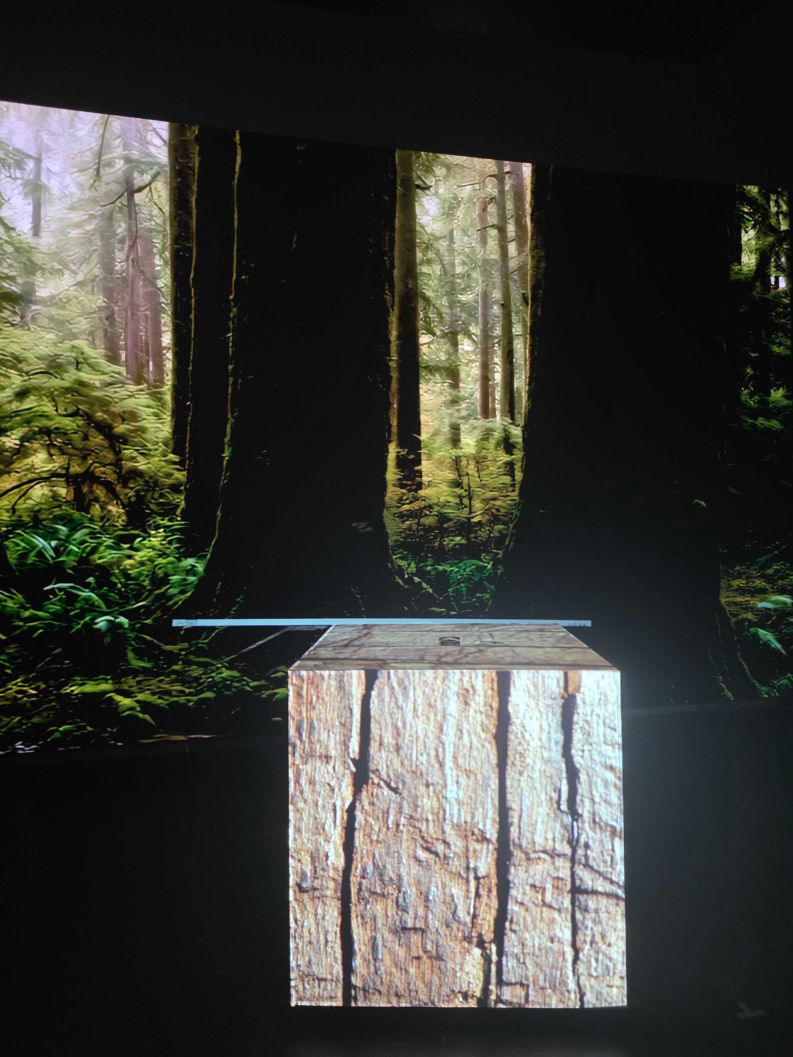 AI 디지털 트윈기반 프로젝션 맵핑 제품 이미지